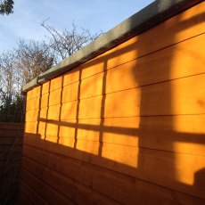 10x10 Shire Norfolk Professional Pent Shed - tongue and groove wall cladding