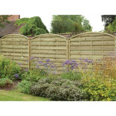 6ft High Forest Europa Domed Fence Panels