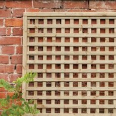 6ft by 6ft (1800mm x 1800mm) Forest Premium Framed Trellis - Pressure Treated