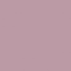 Protek Royal Exterior Paint 1 Litre - French Lilac Colour Sample Swatch