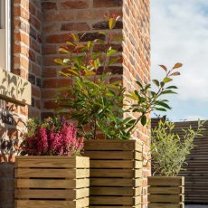 Forest Contemporary Slatted Planter - Set of three - Side view in use