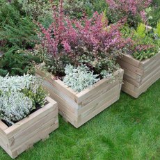 Forest Kendal Square Planter - Set of three - in use