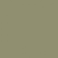 Protek Royal Exterior Paint 125ml - Olive Green Colour Swatch