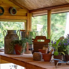 Forest Shiplap Potting Shed - close up of interior