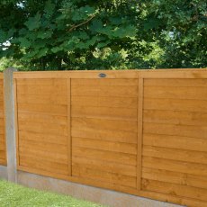3ft High Forest Straight Edge Lap Panel - insitu showing a row of fence panels