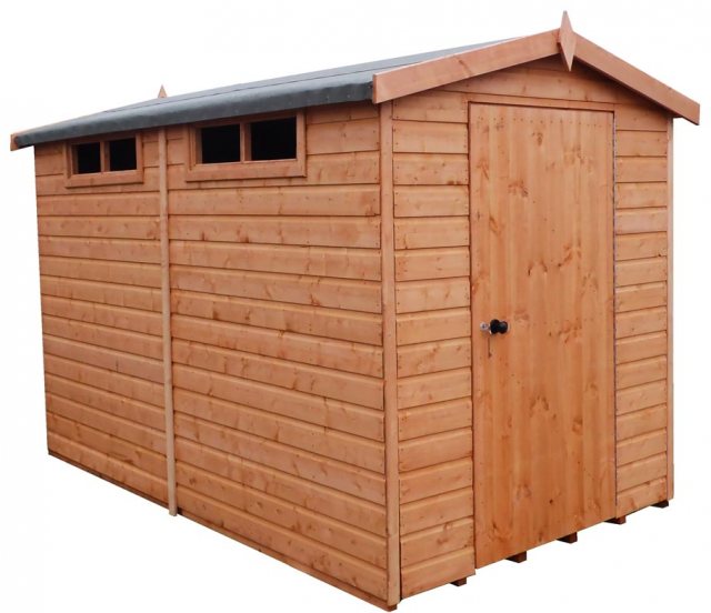 Shire Security Professional Shed - Isolated