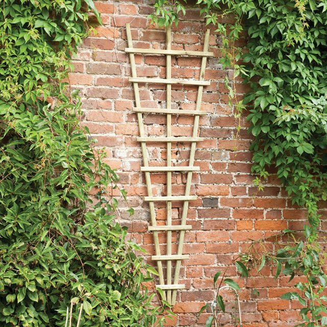 Forest Traditional Fan Trellis 180 x 60cm - Pressure treated