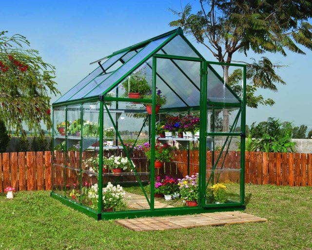 6 x 6 Palram Hybrid Greenhouse in Green - in situ