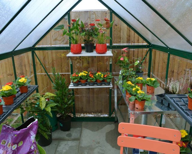 6 x 10 Palram Hybrid Greenhouse in Green - interior with optional shelves