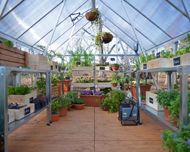 Palram Hybrid Greenhouse in Silver - interior with optional shelving unit