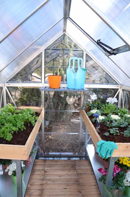 Palram Hybrid Greenhouse in Grey - interior