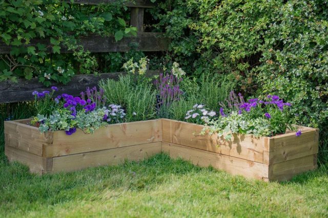 Forest Caledonian Corner Raised Bed  - in use