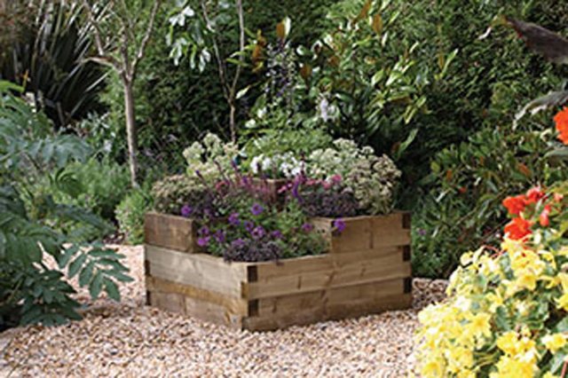Forest Caledonian Tiered Raised Bed  - in use