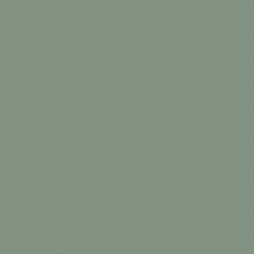Thorndown Wood Paint 2.5 Litres - Bullrush Green - Solid swatch